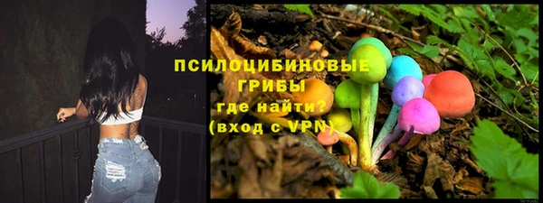 синтетический гашиш Алексин