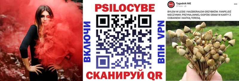 как найти закладки Светлоград Галлюциногенные грибы MAGIC MUSHROOMS
