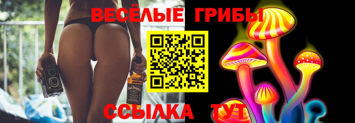 Светлоград  Галлюциногенные грибы GOLDEN TEACHER  Вход с VPN 